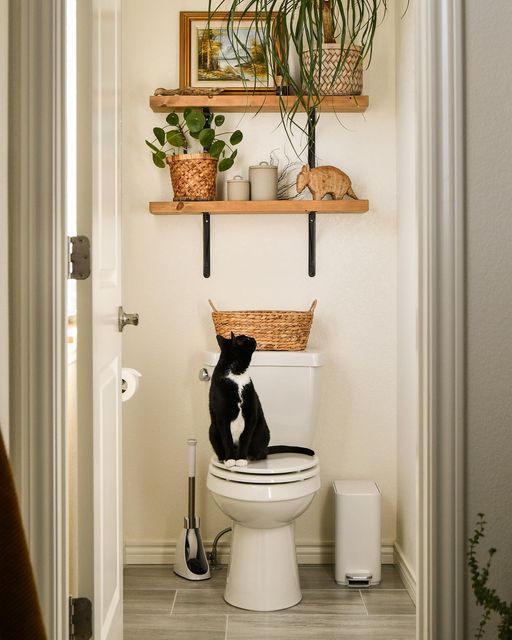 Bathroom shelves over the toilet shelves